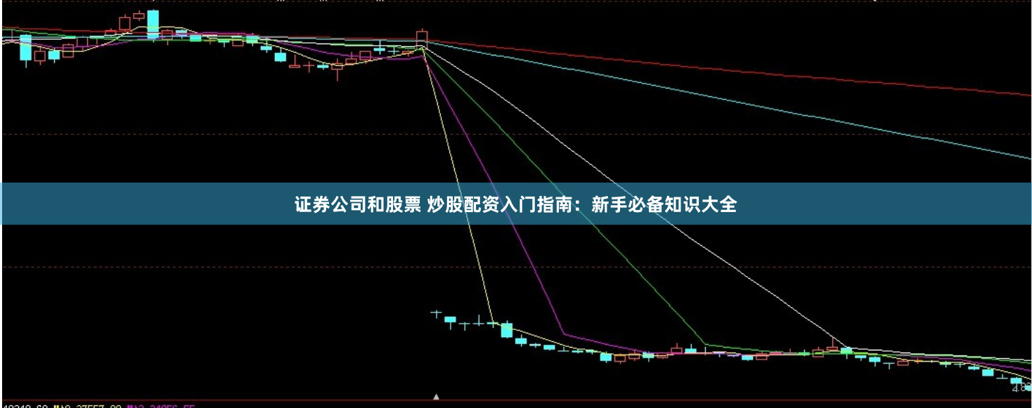 证券公司和股票 炒股配资入门指南：新手必备知识大全